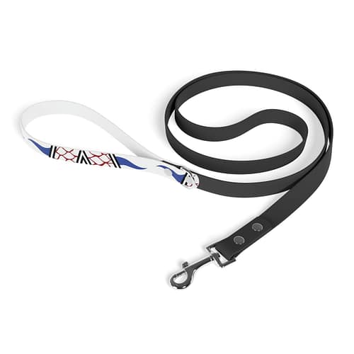 Leash - Image 2