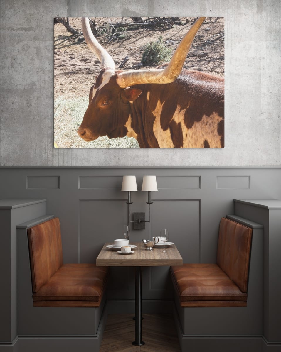 africa-bull-restraunt-mockup
