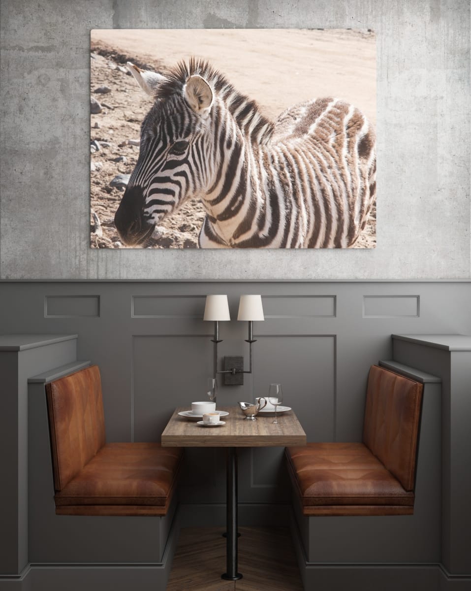 africa-zebra-restraunt-mockup