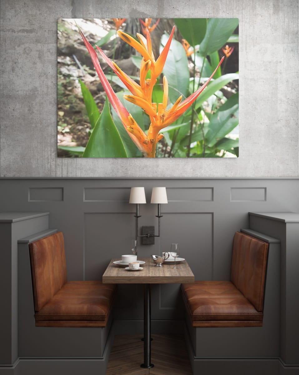 hawaii-orangeflower-water-restraunt-mockup
