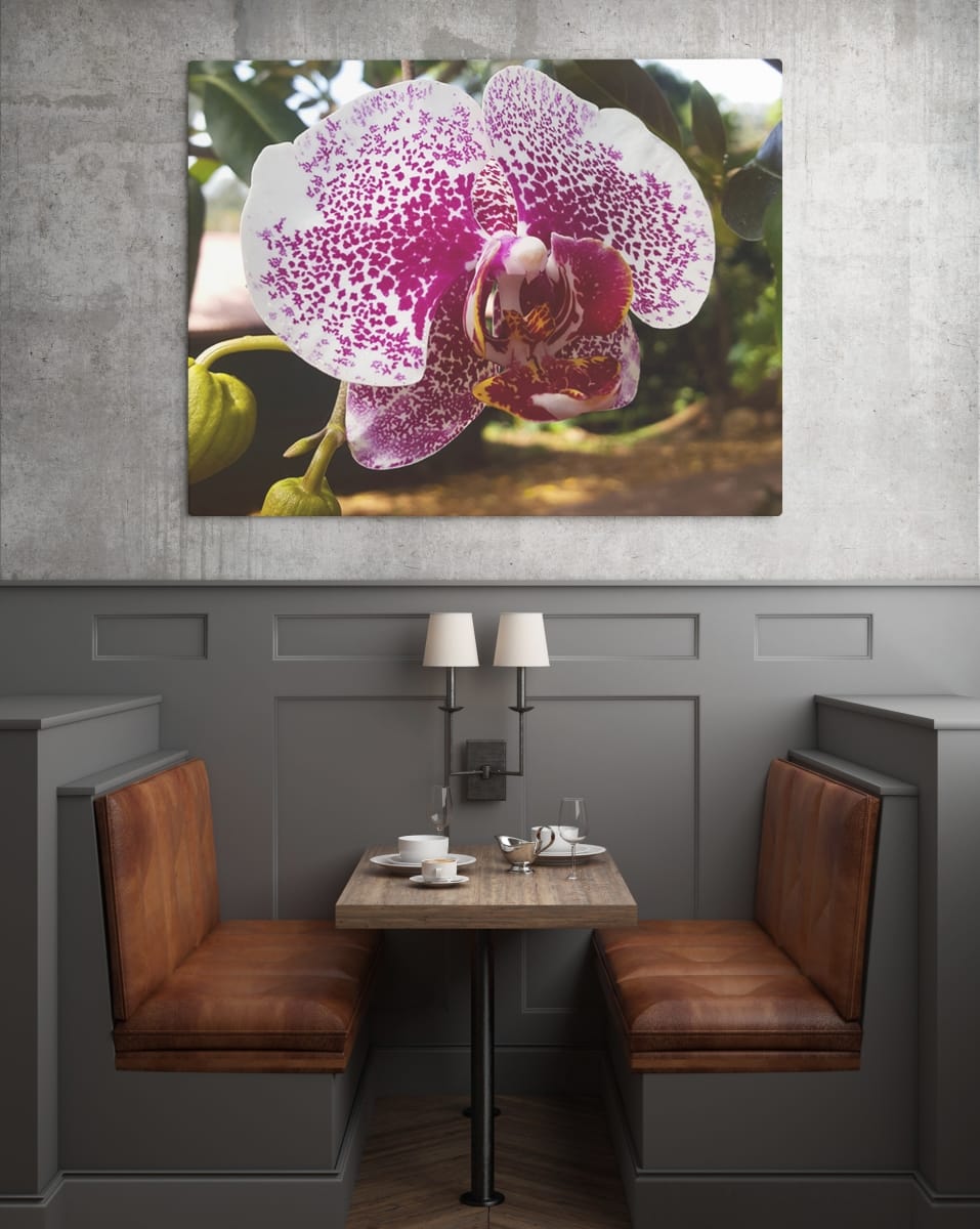 hawaii-purple-O-flower-water-restraunt-mockup